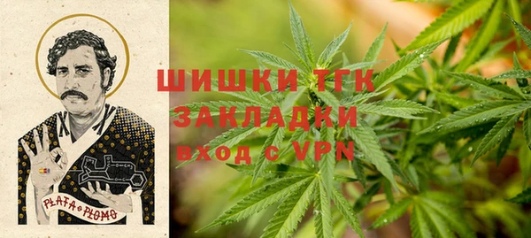 прущая мука Вяземский