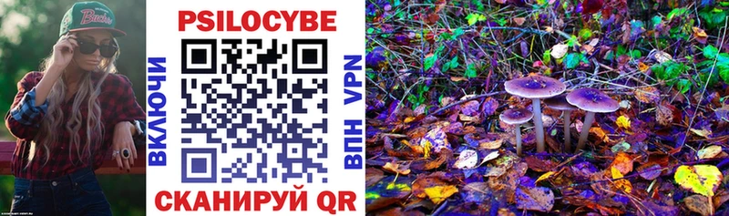 Галлюциногенные грибы Psilocybe  blacksprut   Дальнереченск 